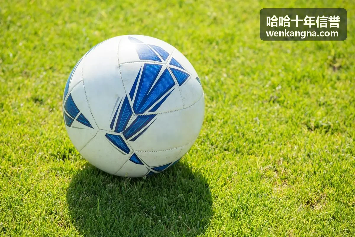 哈哈十年信誉中途搁置后继续操作场景配图
